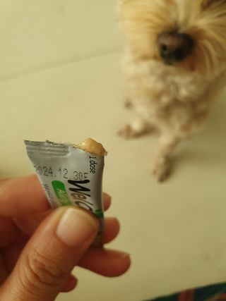 아코맘님이 올린 리뷰 사진 4