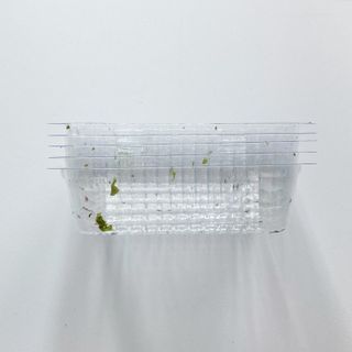 torius님이 올린 리뷰 사진 4
