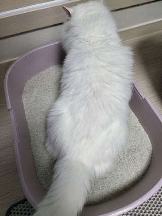 Woo7C님이 올린 리뷰 사진 2