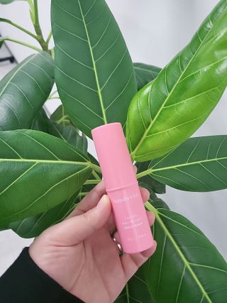 스킨큐어 산다화 카멜리아 안티 링클 멀티밤 — 5점을 준 리뷰어가 2022년 10월 올린 사용 사진