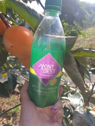 몽베스트 Montbest with Sparkling water Lemon OR Lime 20병(랜덤) — 5점을 준 리뷰어가 2021년 10월 올린 사용 사진