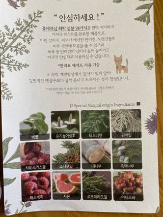 마리앤루이펫샴푸 [mari and louie pet shampoo] — 5점을 준 리뷰어가 2021년 6월 올린 사용 사진