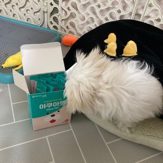 펫시랩 반려견용 액상 프리바이오틱스 아쿠아펫 — 5점을 준 리뷰어가 2021년 1월 올린 사용 사진