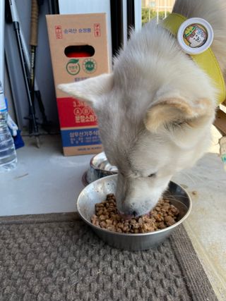 Jenny님이 올린 리뷰 사진 3