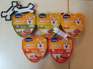 비타크래프트 조에시 하트캔 85g 강아지 습식캔 10캔 — 5점을 준 리뷰어가 2021년 7월 올린 사용 사진