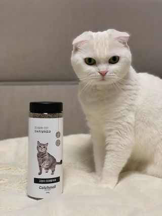 lala1234님이 올린 리뷰 사진 1