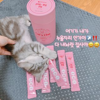 페페로니 잘 먹는 캣츄 - 알래스카 연어 24개입 — 5점을 준 리뷰어가 2021년 9월 올린 사용 사진