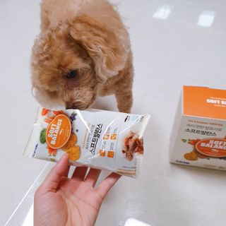죠니님이 올린 리뷰 사진 1