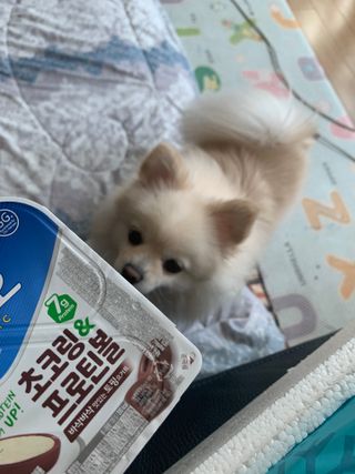 별이빛나길님이 올린 리뷰 사진 2