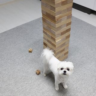 송린깡님이 올린 리뷰 사진 2