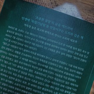 dododorothy님이 올린 리뷰 사진 2