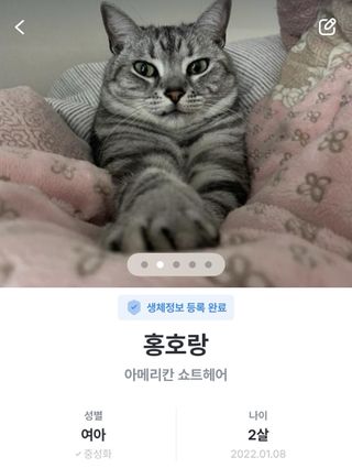 홍다경님이 올린 리뷰 사진 2