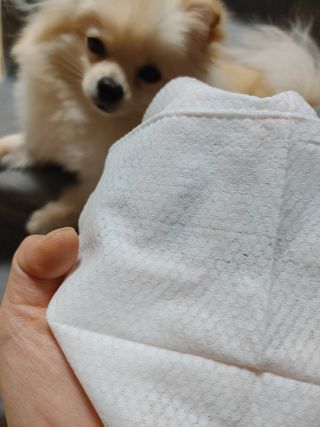 레오포포님이 올린 리뷰 사진 3