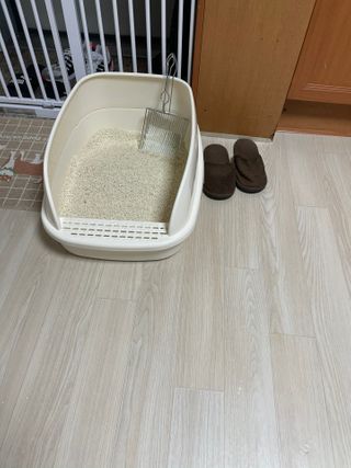 SanghyukCha님이 올린 리뷰 사진 3