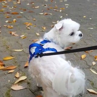 ssun님이 올린 리뷰 사진 3