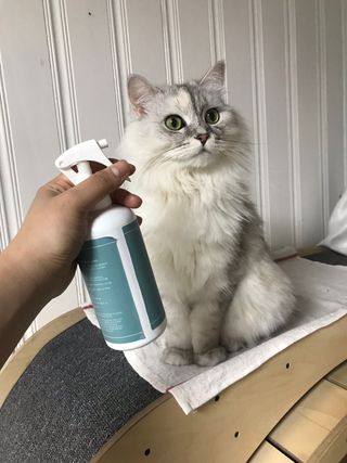 fively님이 올린 리뷰 사진 1