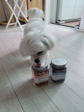 페페로니 진짜 오메가3 연어+소고기 180g+180g — 5점을 준 리뷰어가 2021년 7월 올린 사용 사진