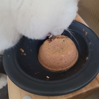 쓔리님이 올린 리뷰 사진 3