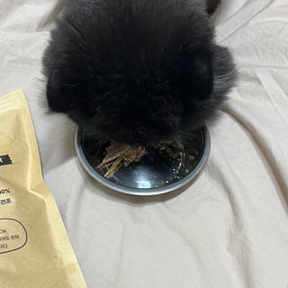 [보헤리] 국내산 강아지 육포간식 바삭 64 2종 — 5점을 준 리뷰어가 2022년 3월 올린 사용 사진
