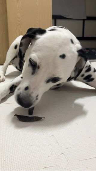 윤언니님이 올린 리뷰 사진 3