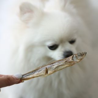 털털미녀님이 올린 리뷰 사진 4