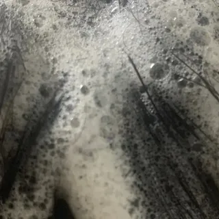 란다김님이 올린 리뷰 사진 2