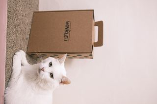 [바이윙클] 페르시아 유기농 석류 착즙주스 750ml 2병 + 선물박스 세트 — 4.5점을 준 리뷰어가 2022년 3월 올린 사용 사진