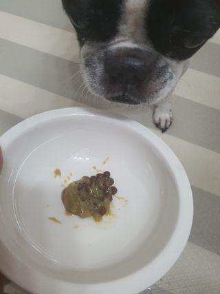 삼꽃단하나님이 올린 리뷰 사진 4