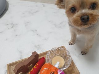 딸기맘님이 올린 리뷰 사진 4