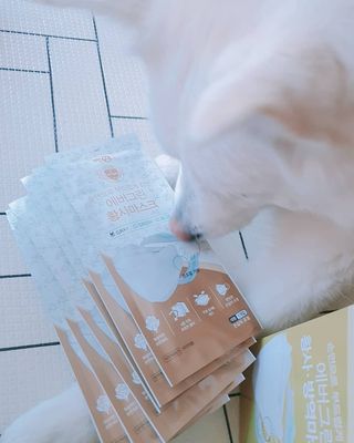 딸랑구둘🥰님이 올린 리뷰 사진 1
