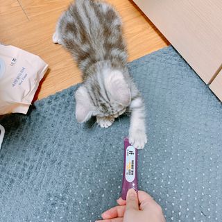 펭뽀꾸님이 올린 리뷰 사진 2