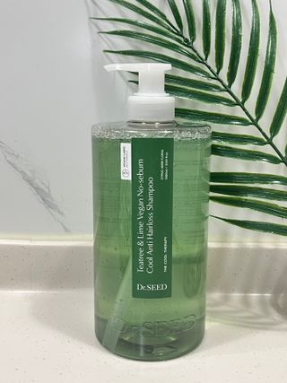 닥터시드 티트리 앤 라임 비건 지성케어 쿨 탈모 샴푸 (1000ml) — 5점을 준 리뷰어가 2023년 12월 올린 사용 사진