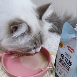 묘들링님이 올린 리뷰 사진 3