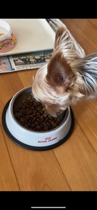 [풀무원아미오] 건강담은식단 1kg 3종 — 5점을 준 리뷰어가 2021년 2월 올린 사용 사진