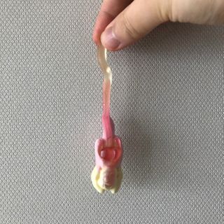 라니님이 올린 리뷰 사진 4