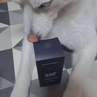 블랙페블 올인원 워시 마그네틱 웨이브 500ml — 5점을 준 리뷰어가 2021년 5월 올린 사용 사진