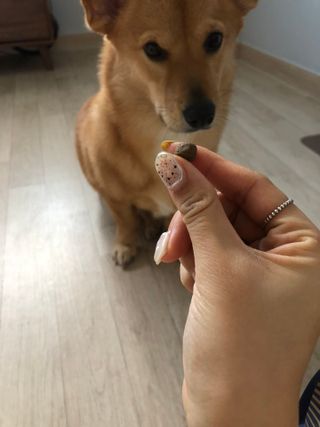 JkLee님이 올린 리뷰 사진 1