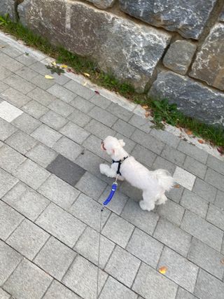 awedana님이 올린 리뷰 사진 4