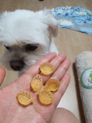 뽀오오옹님이 올린 리뷰 사진 2