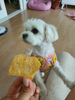 뽀오오옹님이 올린 리뷰 사진 4