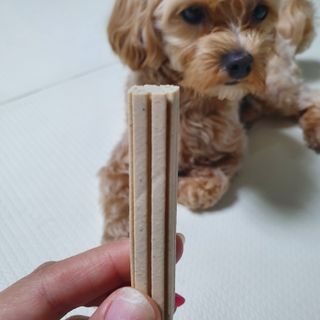 페페로니 클린플러스 덴탈치킨껌 10g x 14p — 5점을 준 리뷰어가 2021년 7월 올린 사용 사진