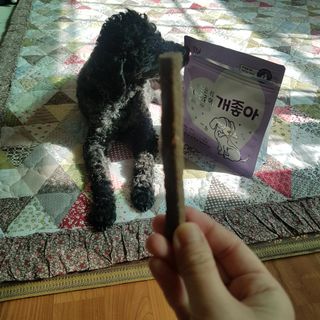 My Pet Care 천연단백질 치아건강에 개좋아 — 5점을 준 리뷰어가 2021년 2월 올린 사용 사진