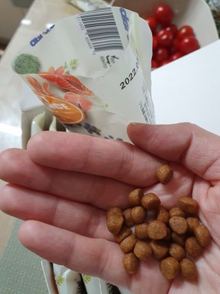 찌니님이 올린 리뷰 사진 3