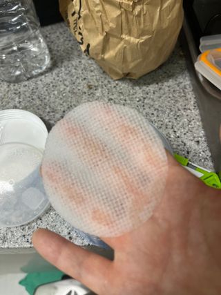 여름님이 올린 리뷰 사진 2