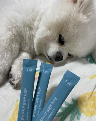 클린24시간 슬림앤유산균 1박스 (3.5g X 15포) — 5점을 준 리뷰어가 2023년 1월 올린 사용 사진