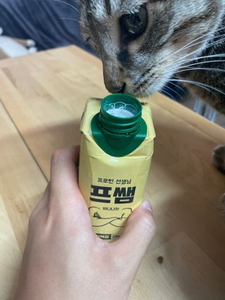 SanghyukCha님이 올린 리뷰 사진 1