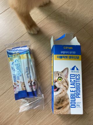 씨디랩 구강에서 장까지 한 번에 관리하는 더블락토 강아지 고양이 유산균 — 5점을 준 리뷰어가 2021년 6월 올린 사용 사진