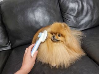 아롱이님이 올린 리뷰 사진 3