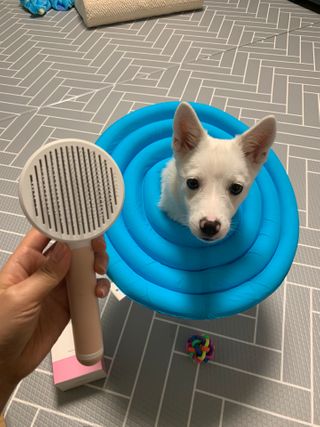 단추링님이 올린 리뷰 사진 4
