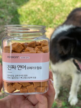 페페로니 진짜 오메가3 연어+소고기 180g+180g — 5점을 준 리뷰어가 2021년 7월 올린 사용 사진